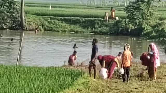 ছবি: আলোকিত গৌড়