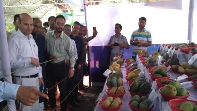চাঁপাইনবাবগঞ্জে ১৮৩ জাতের আম নিয়ে তিন দিনব্যাপী আম মেলা শুরু