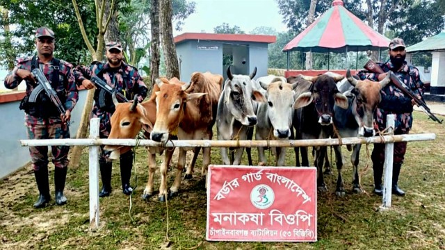 ছবি: সংগৃহীত