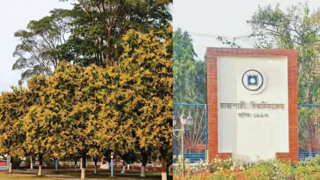 মাইকিং-চিঠিতেই সীমাবদ্ধ রইল রাবির মধুফল উৎসব