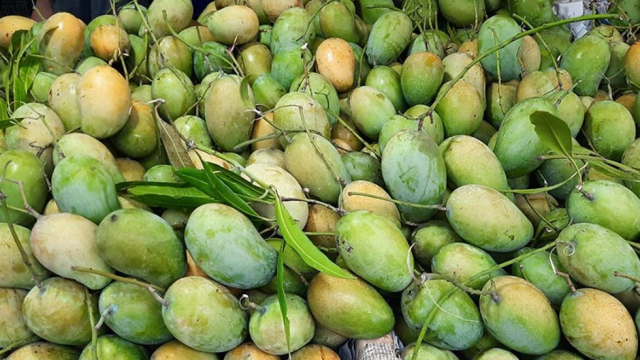 জুনের শুরুতেই চীনে যাচ্ছে বাংলাদেশের আম