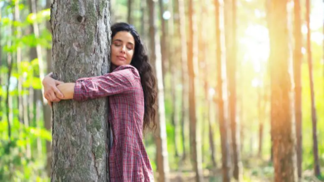 গাছ কমাতে পারে আপনার মানসিক চাপ