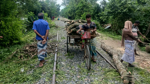 গোমস্তাপুরে রেল ভূমির গাছ কাটার অভিযোগ বিএনপি নেতার বিরুদ্ধে