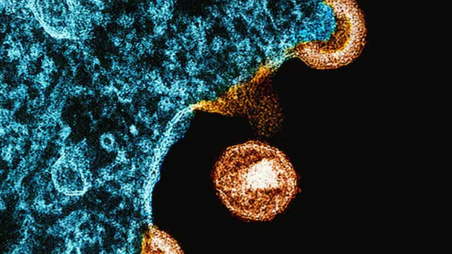 ১০০ বছরের পুরোনো চিকিৎসা পদ্ধতিতে নতুন আশার আলো