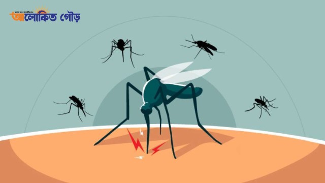 গত ২৪ ঘণ্টায় ডেঙ্গুতে আরও জনের ৬ মৃত্যু, ১০৮৩ রোগী হাসপাতালে ভর্তি