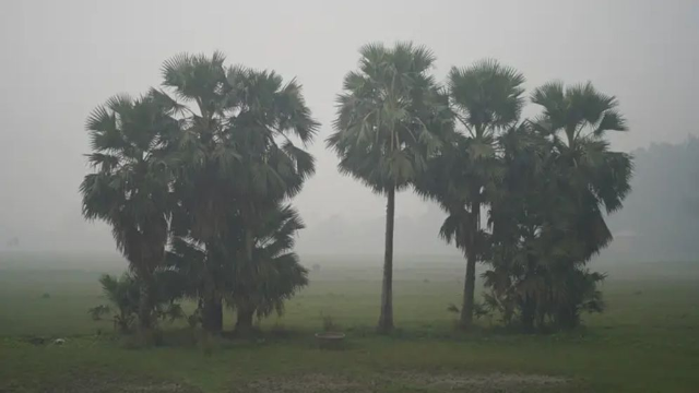 সংগৃহিত ছবি