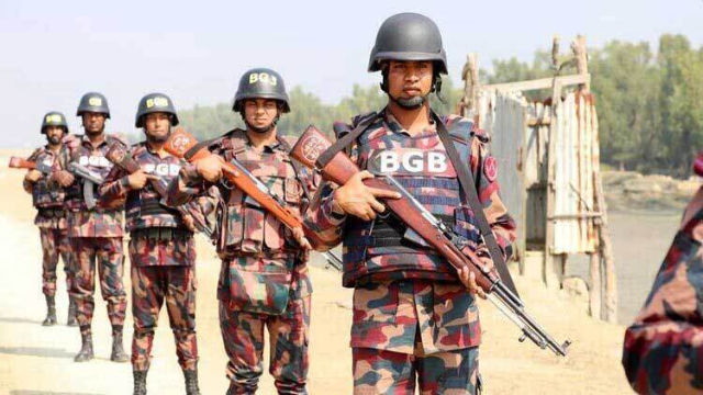 চাঁপাইনবাবগঞ্জে সীমান্তে চোরাকারবারি ধরতে গিয়ে বিজিবির ফাঁকা গুলি, ১০ মহিষ জব্দ