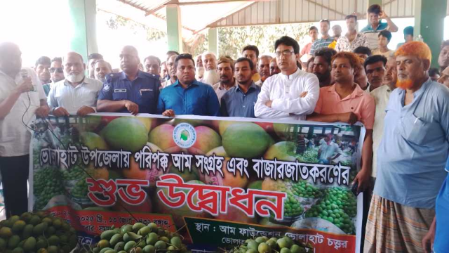ভোলাহাটে আম ফাউন্ডেশনে পরিপক্ব আমের বাজার উদ্বোধন