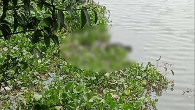 ভোলাহাটে মহানন্দা নদী থেকে অজ্ঞাত লাশ উদ্ধার